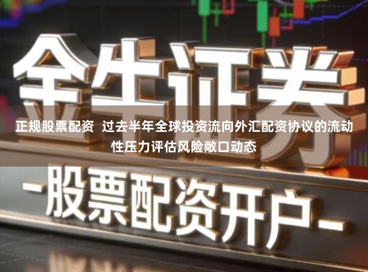 正规股票配资  过去半年全球投资流向外汇配资协议的流动性压力评估风险敞口动态