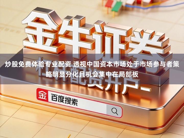 炒股免费体验专业配资 透视中国资本市场处于市场参与者策略明显分化且机会集中在局部板